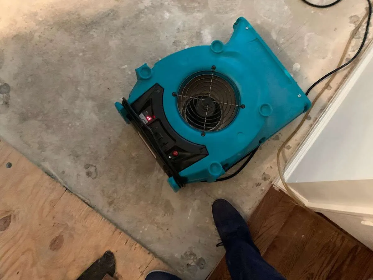 Air mover drying subfloor during Leak Detection & Repair in Bronxville